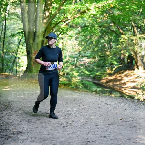 28.09.2025 - 33. Volkslauf durch das schöne Alstertal Dr. Thomas Lammeyer http://msf.ph/oto/8959496 28.09.2025 10:54:30 Laufen 17 meine-sportfotos.de