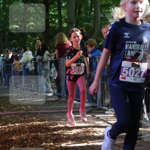 28.09.2025 - 33. Volkslauf durch das schöne Alstertal Strokosch-Dieckow http://msf.ph/oto/8959512 28.09.2025 10:45:57 Ziel 5016, 5027 meine-sportfotos.de