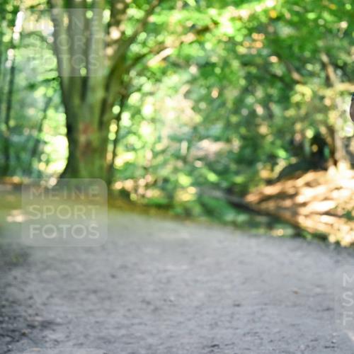 28.09.2025 - 33. Volkslauf durch das schöne Alstertal Dr. Thomas Lammeyer http://msf.ph/oto/8959513 28.09.2025 10:54:32 Laufen 30 meine-sportfotos.de