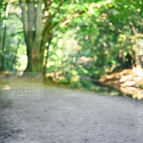 28.09.2025 - 33. Volkslauf durch das schöne Alstertal Dr. Thomas Lammeyer http://msf.ph/oto/8959514 28.09.2025 10:54:32 Laufen  meine-sportfotos.de