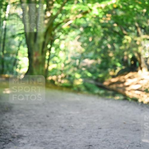 28.09.2025 - 33. Volkslauf durch das schöne Alstertal Dr. Thomas Lammeyer http://msf.ph/oto/8959515 28.09.2025 10:54:33 Laufen  meine-sportfotos.de