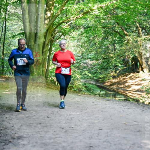 28.09.2025 - 33. Volkslauf durch das schöne Alstertal Dr. Thomas Lammeyer http://msf.ph/oto/8959522 28.09.2025 10:54:39 Laufen 3284, 328 meine-sportfotos.de