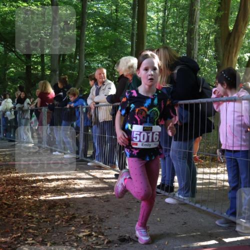 28.09.2025 - 33. Volkslauf durch das schöne Alstertal Strokosch-Dieckow http://msf.ph/oto/8959526 28.09.2025 10:45:58 Ziel 5016 meine-sportfotos.de