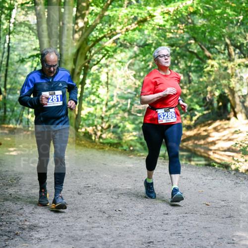 28.09.2025 - 33. Volkslauf durch das schöne Alstertal Dr. Thomas Lammeyer http://msf.ph/oto/8959530 28.09.2025 10:54:40 Laufen 281, 3289 meine-sportfotos.de