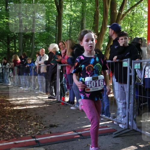 28.09.2025 - 33. Volkslauf durch das schöne Alstertal Strokosch-Dieckow http://msf.ph/oto/8959534 28.09.2025 10:45:58 Ziel 5016 meine-sportfotos.de