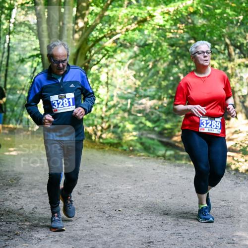 28.09.2025 - 33. Volkslauf durch das schöne Alstertal Dr. Thomas Lammeyer http://msf.ph/oto/8959535 28.09.2025 10:54:40 Laufen 3281, 3289, 1 meine-sportfotos.de