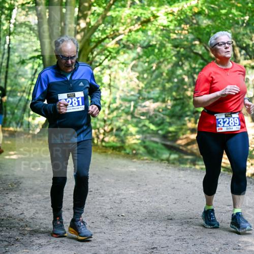 28.09.2025 - 33. Volkslauf durch das schöne Alstertal Dr. Thomas Lammeyer http://msf.ph/oto/8959536 28.09.2025 10:54:40 Laufen 281, 3289 meine-sportfotos.de