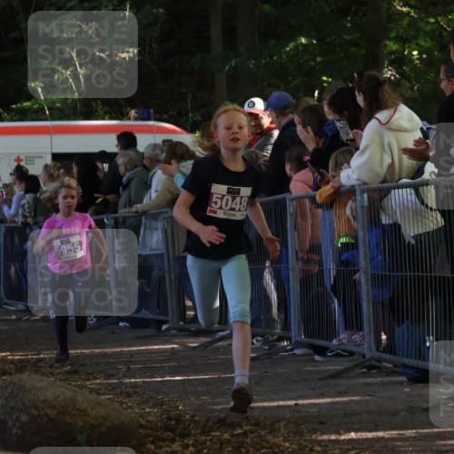 28.09.2025 - 33. Volkslauf durch das schöne Alstertal Strokosch-Dieckow http://msf.ph/oto/8959539 28.09.2025 10:46:10 Ziel 5048, 5955, 5962 meine-sportfotos.de