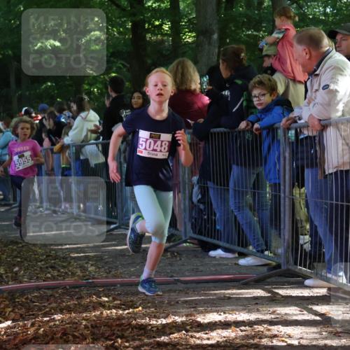 28.09.2025 - 33. Volkslauf durch das schöne Alstertal Strokosch-Dieckow http://msf.ph/oto/8959553 28.09.2025 10:46:11 Ziel 5048, 5955, 5962 meine-sportfotos.de
