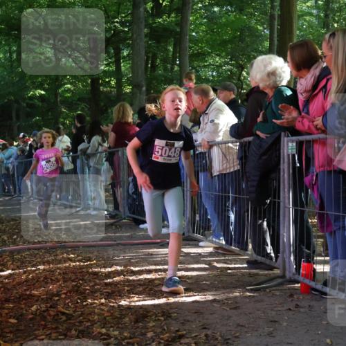 28.09.2025 - 33. Volkslauf durch das schöne Alstertal Strokosch-Dieckow http://msf.ph/oto/8959558 28.09.2025 10:46:12 Ziel 5048, 5955, 5962 meine-sportfotos.de