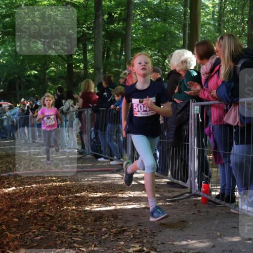 28.09.2025 - 33. Volkslauf durch das schöne Alstertal Strokosch-Dieckow http://msf.ph/oto/8959565 28.09.2025 10:46:12 Ziel 5048, 5955, 5962 meine-sportfotos.de