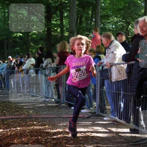 28.09.2025 - 33. Volkslauf durch das schöne Alstertal Strokosch-Dieckow http://msf.ph/oto/8959572 28.09.2025 10:46:13 Ziel 5048, 5955, 5962 meine-sportfotos.de
