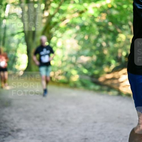 28.09.2025 - 33. Volkslauf durch das schöne Alstertal Dr. Thomas Lammeyer http://msf.ph/oto/8959573 28.09.2025 10:54:47 Laufen 2 meine-sportfotos.de