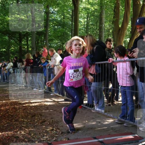 28.09.2025 - 33. Volkslauf durch das schöne Alstertal Strokosch-Dieckow http://msf.ph/oto/8959578 28.09.2025 10:46:14 Ziel 5955, 5962 meine-sportfotos.de