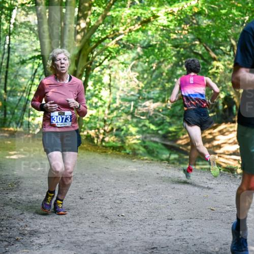 28.09.2025 - 33. Volkslauf durch das schöne Alstertal Dr. Thomas Lammeyer http://msf.ph/oto/8959592 28.09.2025 10:54:50 Laufen 3073, 3556 meine-sportfotos.de