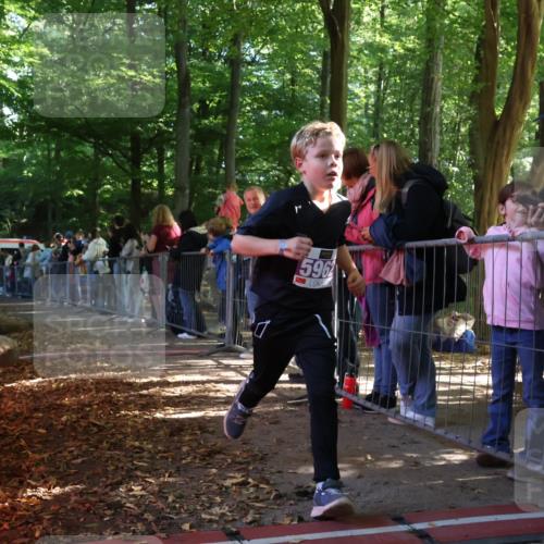 28.09.2025 - 33. Volkslauf durch das schöne Alstertal Strokosch-Dieckow http://msf.ph/oto/8959594 28.09.2025 10:46:18 Ziel 5026, 5040, 5962 meine-sportfotos.de