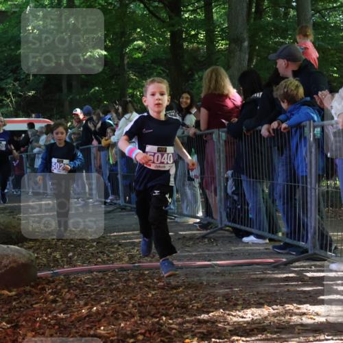 28.09.2025 - 33. Volkslauf durch das schöne Alstertal Strokosch-Dieckow http://msf.ph/oto/8959609 28.09.2025 10:46:26 Ziel 5020, 5026, 5040 meine-sportfotos.de