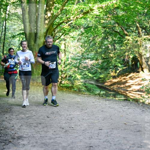 28.09.2025 - 33. Volkslauf durch das schöne Alstertal Dr. Thomas Lammeyer http://msf.ph/oto/8959613 28.09.2025 10:54:55 Laufen 3153, 3267, 3268 meine-sportfotos.de