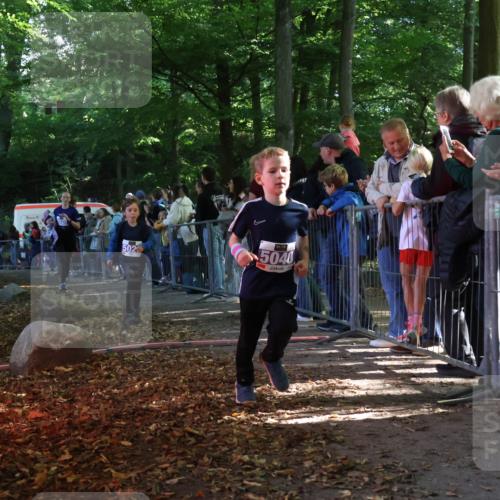 28.09.2025 - 33. Volkslauf durch das schöne Alstertal Strokosch-Dieckow http://msf.ph/oto/8959617 28.09.2025 10:46:26 Ziel 5020, 5026, 5040 meine-sportfotos.de