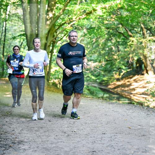 28.09.2025 - 33. Volkslauf durch das schöne Alstertal Dr. Thomas Lammeyer http://msf.ph/oto/8959618 28.09.2025 10:54:56 Laufen 3153, 3267, 3268 meine-sportfotos.de