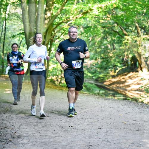 28.09.2025 - 33. Volkslauf durch das schöne Alstertal Dr. Thomas Lammeyer http://msf.ph/oto/8959619 28.09.2025 10:54:57 Laufen 3153, 3267, 2023, 3268 meine-sportfotos.de