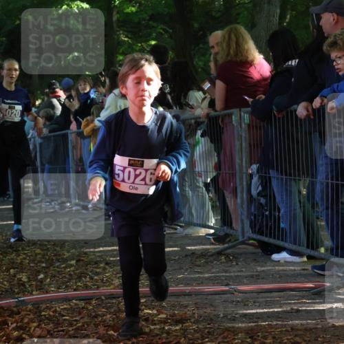 28.09.2025 - 33. Volkslauf durch das schöne Alstertal Strokosch-Dieckow http://msf.ph/oto/8959630 28.09.2025 10:46:27 Ziel 5020, 5026, 5040 meine-sportfotos.de