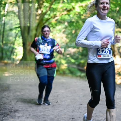 28.09.2025 - 33. Volkslauf durch das schöne Alstertal Dr. Thomas Lammeyer http://msf.ph/oto/8959635 28.09.2025 10:54:59 Laufen 31, 3, 3267 meine-sportfotos.de