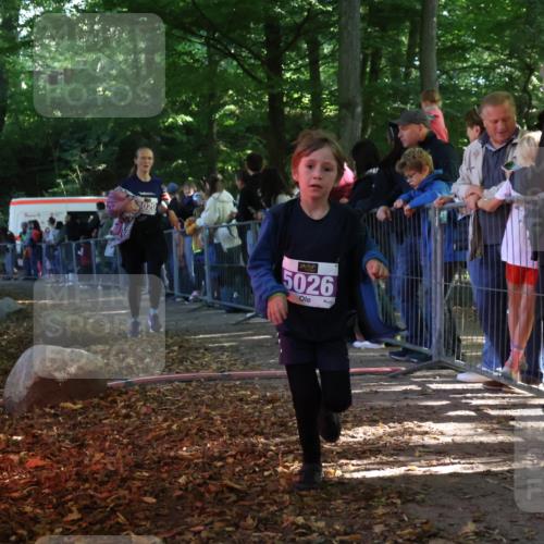 28.09.2025 - 33. Volkslauf durch das schöne Alstertal Strokosch-Dieckow http://msf.ph/oto/8959637 28.09.2025 10:46:28 Ziel 5020, 5026 meine-sportfotos.de