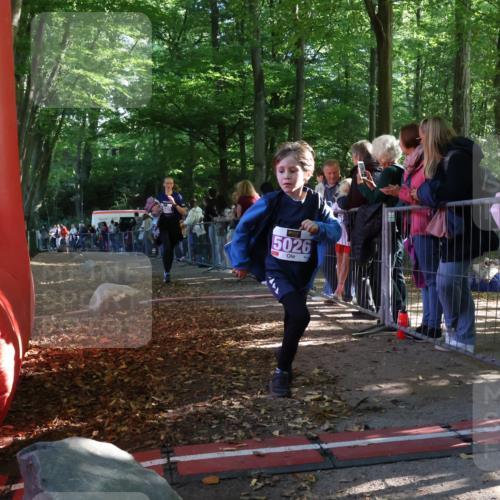 28.09.2025 - 33. Volkslauf durch das schöne Alstertal Strokosch-Dieckow http://msf.ph/oto/8959646 28.09.2025 10:46:28 Ziel 5020, 5026 meine-sportfotos.de