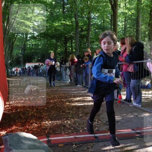 28.09.2025 - 33. Volkslauf durch das schöne Alstertal Strokosch-Dieckow http://msf.ph/oto/8959653 28.09.2025 10:46:29 Ziel 5020 meine-sportfotos.de