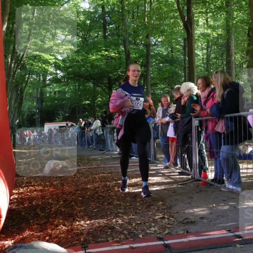 28.09.2025 - 33. Volkslauf durch das schöne Alstertal Strokosch-Dieckow http://msf.ph/oto/8959665 28.09.2025 10:46:30 Ziel 5020 meine-sportfotos.de