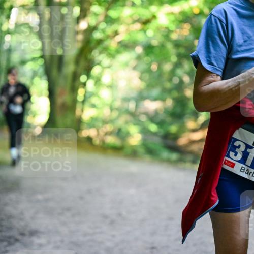 28.09.2025 - 33. Volkslauf durch das schöne Alstertal Dr. Thomas Lammeyer http://msf.ph/oto/8959679 28.09.2025 10:55:20 Laufen 3126 meine-sportfotos.de