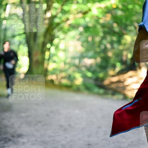 28.09.2025 - 33. Volkslauf durch das schöne Alstertal Dr. Thomas Lammeyer http://msf.ph/oto/8959680 28.09.2025 10:55:20 Laufen 312 meine-sportfotos.de
