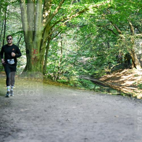 28.09.2025 - 33. Volkslauf durch das schöne Alstertal Dr. Thomas Lammeyer http://msf.ph/oto/8959681 28.09.2025 10:55:21 Laufen  meine-sportfotos.de
