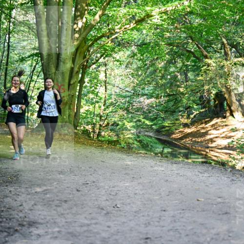 28.09.2025 - 33. Volkslauf durch das schöne Alstertal Dr. Thomas Lammeyer http://msf.ph/oto/8959705 28.09.2025 10:55:36 Laufen 3243, 3259 meine-sportfotos.de