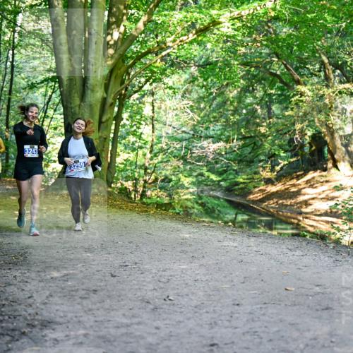 28.09.2025 - 33. Volkslauf durch das schöne Alstertal Dr. Thomas Lammeyer http://msf.ph/oto/8959707 28.09.2025 10:55:36 Laufen 3243, 750 meine-sportfotos.de