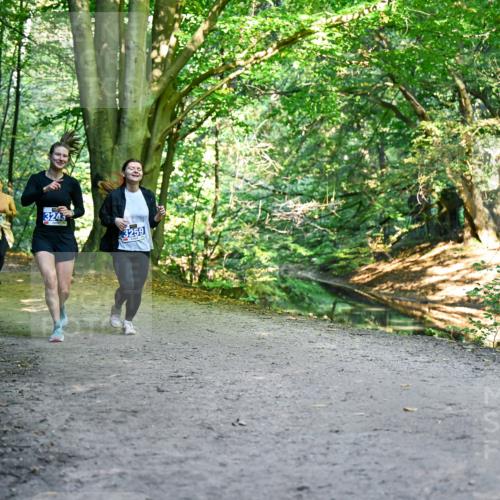 28.09.2025 - 33. Volkslauf durch das schöne Alstertal Dr. Thomas Lammeyer http://msf.ph/oto/8959711 28.09.2025 10:55:36 Laufen 3243, 3259 meine-sportfotos.de