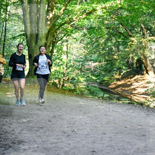 28.09.2025 - 33. Volkslauf durch das schöne Alstertal Dr. Thomas Lammeyer http://msf.ph/oto/8959712 28.09.2025 10:55:36 Laufen 344, 3259 meine-sportfotos.de