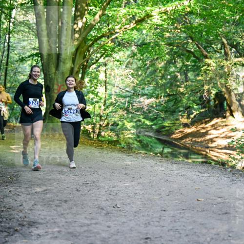 28.09.2025 - 33. Volkslauf durch das schöne Alstertal Dr. Thomas Lammeyer http://msf.ph/oto/8959713 28.09.2025 10:55:37 Laufen 047, 32432, 3259 meine-sportfotos.de