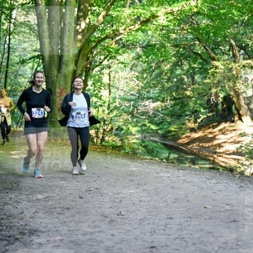 28.09.2025 - 33. Volkslauf durch das schöne Alstertal Dr. Thomas Lammeyer http://msf.ph/oto/8959714 28.09.2025 10:55:37 Laufen 3243, 3259 meine-sportfotos.de