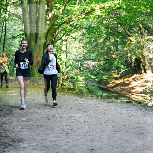 28.09.2025 - 33. Volkslauf durch das schöne Alstertal Dr. Thomas Lammeyer http://msf.ph/oto/8959716 28.09.2025 10:55:37 Laufen 3243, 3259 meine-sportfotos.de