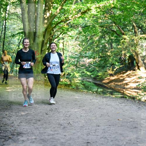 28.09.2025 - 33. Volkslauf durch das schöne Alstertal Dr. Thomas Lammeyer http://msf.ph/oto/8959718 28.09.2025 10:55:37 Laufen 3259 meine-sportfotos.de