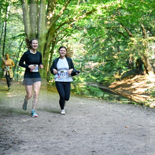 28.09.2025 - 33. Volkslauf durch das schöne Alstertal Dr. Thomas Lammeyer http://msf.ph/oto/8959721 28.09.2025 10:55:37 Laufen 3259 meine-sportfotos.de