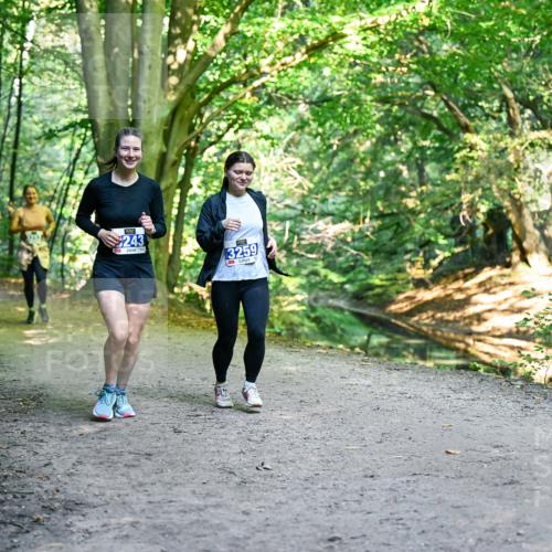 28.09.2025 - 33. Volkslauf durch das schöne Alstertal Dr. Thomas Lammeyer http://msf.ph/oto/8959722 28.09.2025 10:55:38 Laufen 243, 3259 meine-sportfotos.de
