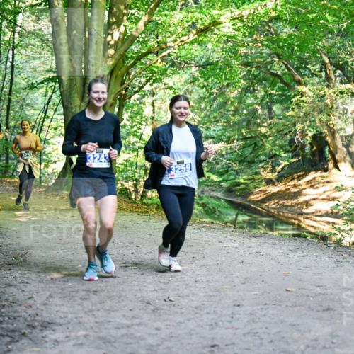 28.09.2025 - 33. Volkslauf durch das schöne Alstertal Dr. Thomas Lammeyer http://msf.ph/oto/8959723 28.09.2025 10:55:38 Laufen 3253, 3243, 3259 meine-sportfotos.de