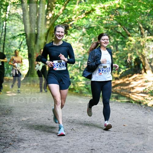 28.09.2025 - 33. Volkslauf durch das schöne Alstertal Dr. Thomas Lammeyer http://msf.ph/oto/8959728 28.09.2025 10:55:38 Laufen 3243, 13259 meine-sportfotos.de