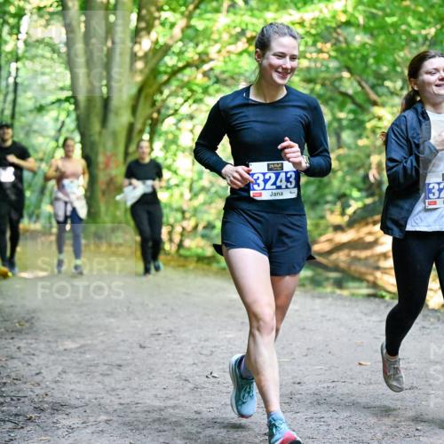 28.09.2025 - 33. Volkslauf durch das schöne Alstertal Dr. Thomas Lammeyer http://msf.ph/oto/8959734 28.09.2025 10:55:39 Laufen 3243, 1, 3259, 1 meine-sportfotos.de