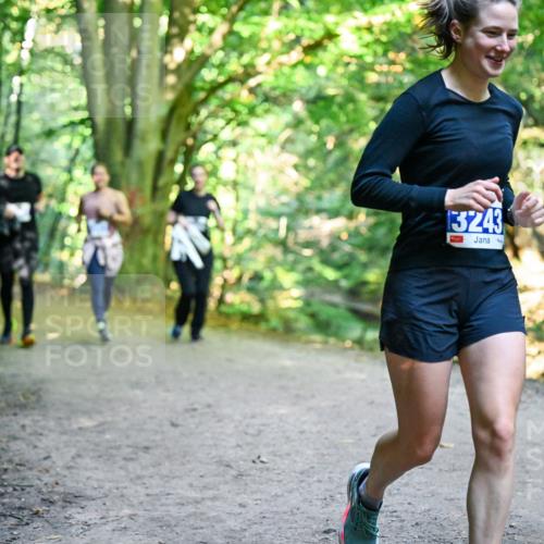 28.09.2025 - 33. Volkslauf durch das schöne Alstertal Dr. Thomas Lammeyer http://msf.ph/oto/8959738 28.09.2025 10:55:40 Laufen 13243, 13, 1 meine-sportfotos.de