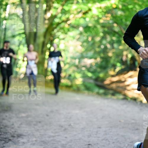 28.09.2025 - 33. Volkslauf durch das schöne Alstertal Dr. Thomas Lammeyer http://msf.ph/oto/8959740 28.09.2025 10:55:40 Laufen 13243 meine-sportfotos.de