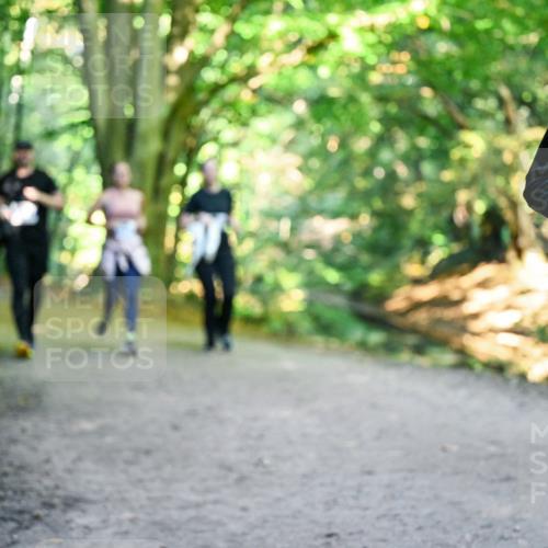28.09.2025 - 33. Volkslauf durch das schöne Alstertal Dr. Thomas Lammeyer http://msf.ph/oto/8959741 28.09.2025 10:55:40 Laufen 13 meine-sportfotos.de